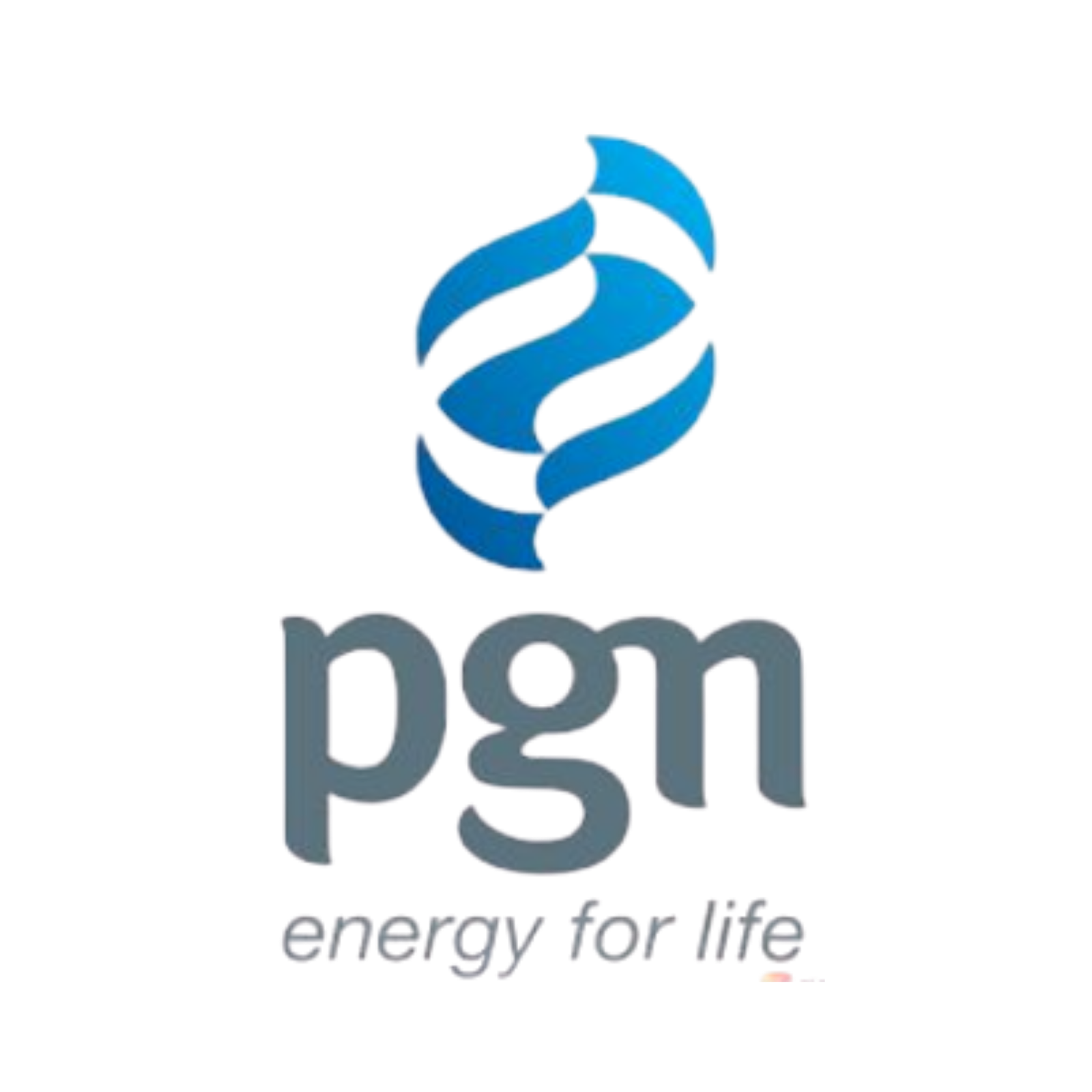 Logo PGN Energy For Life